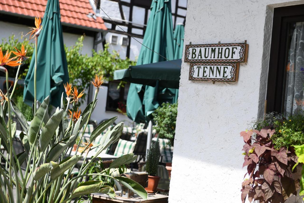 Hotel- Landgasthof Baumhof-Tenne Marktheidenfeld Exterior photo